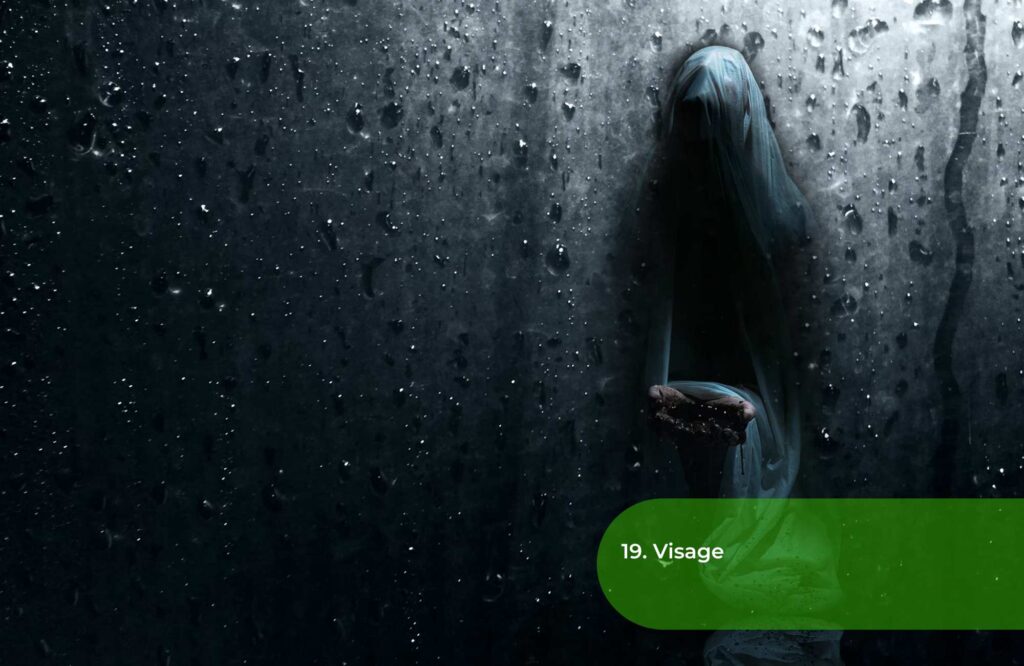 19 Visage