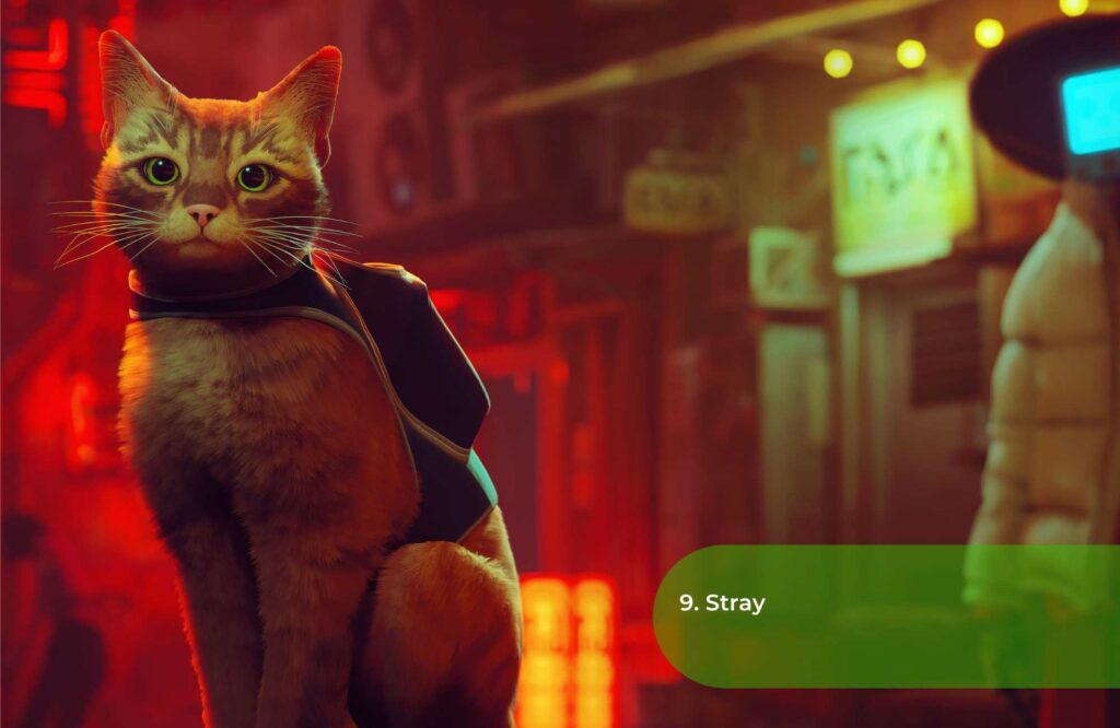 9. Stray